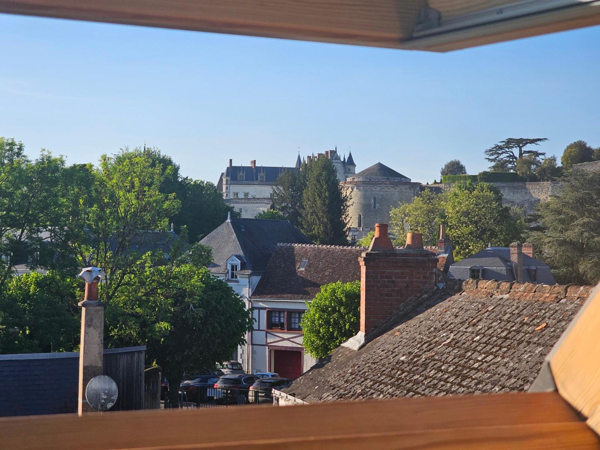 Le Vinci /Maison Pres Du Chateau Amboise Dış mekan fotoğraf
